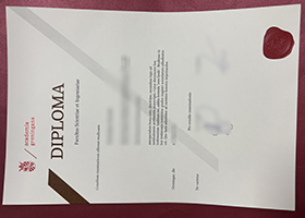 Academia Groningana diploma sample