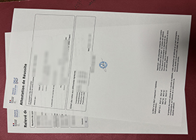 DELF Attestation De Reussite sample