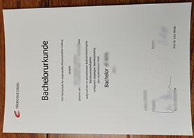 Hochschule Coburg Urkunde sample