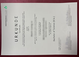 Hochschule Fulda Urkunde sample