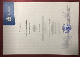 Hochschule Mittweida diploma sample