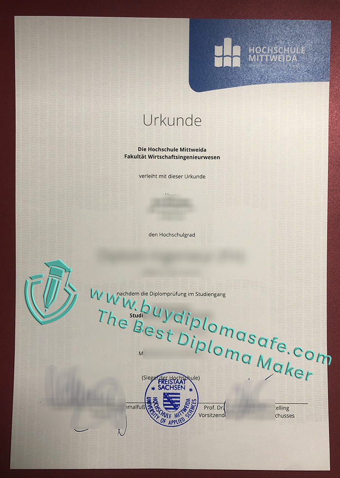Hochschule Mittweida diploma