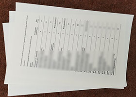 Hochschule Rhein-Waal transcript sample