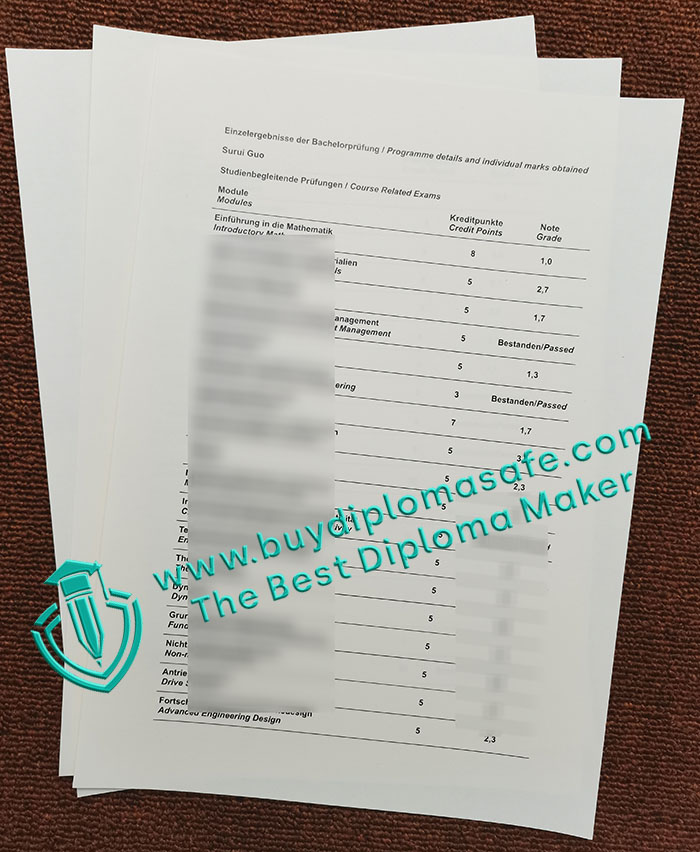 Hochschule Rhein-Waal transcript