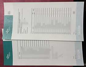Hogeschool Saxion transcript