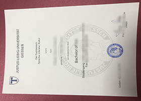 Justus-Liebig-Universität Gießen Urkunde sample