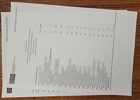 OTH Regensburg transcript sample