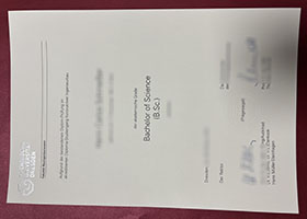 TUD diploma, Order TU Dresden Urkunde sample