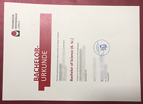 Technische Hochschule Lübeck Urkunde sample