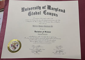 UMGC diploma certificate