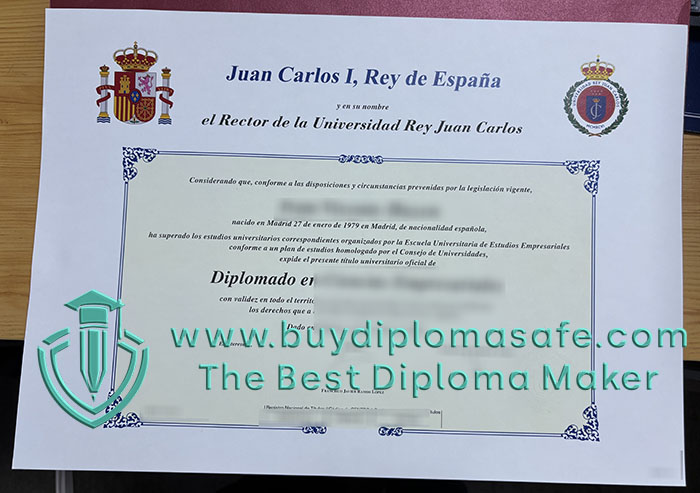 Universidad Rey Juan Carlos diploma