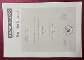 Universität Leipzig Urkunde sample