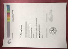 Universität Regensburg Urkunde sample