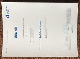 Universität Siegen Urkunde sample