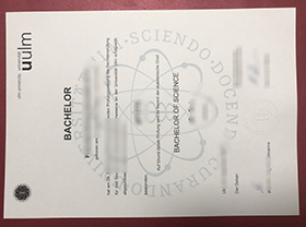 Universität Ulm Urkunde sample