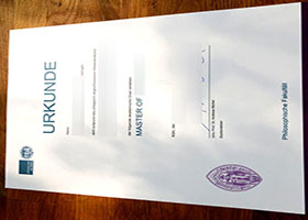 Universität zu Köln Urkunde sample