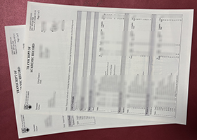 University of British Columbia (UBC) transcript sample