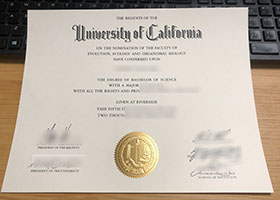 University of California, Riverside degree certificate