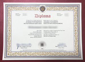 Ankara University diploma