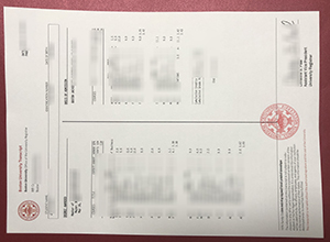 Boston University transcript