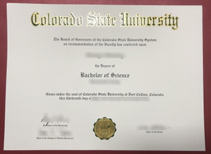 Colorado State University diploma certificate