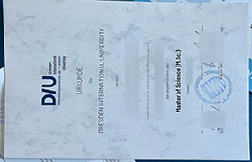 Dresden International University Urkunde