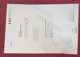 Hochschule für Technik und Wirtschaft Dresden Urkunde