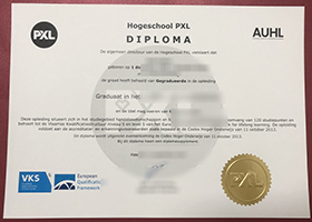 Hogeschool PXL diploma certificate