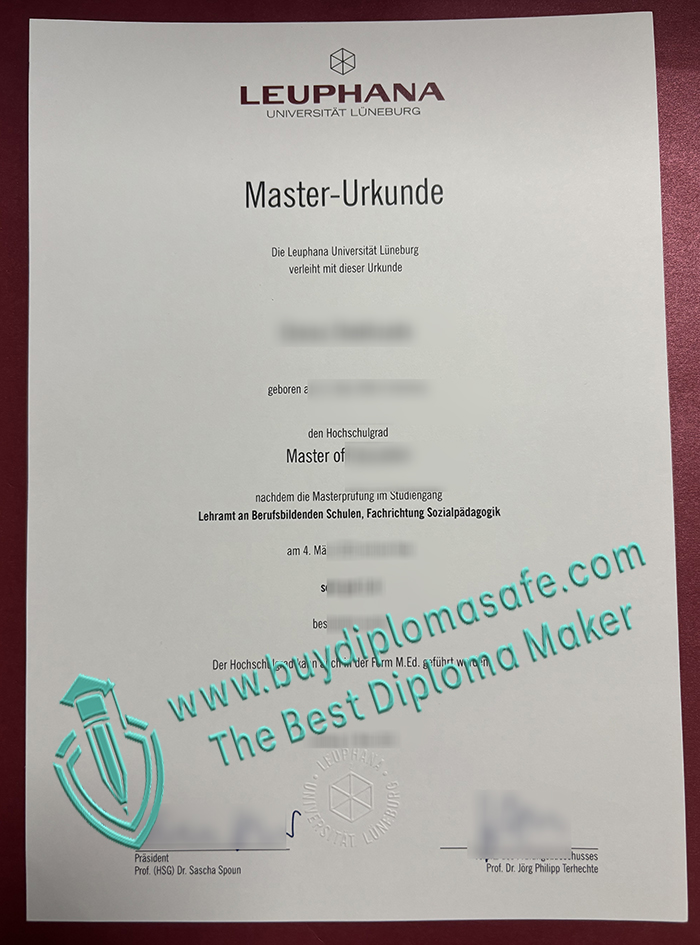 Leuphana Universität Lüneburg Urkunde