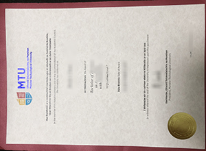 Munster Technological University degree