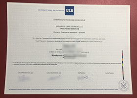 Université libre de Bruxelles Diploma Certificate