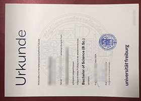 University of Freiburg Urkunde sample