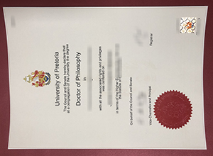 University of Pretoria degee