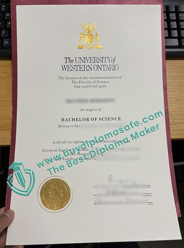 Western University Degree