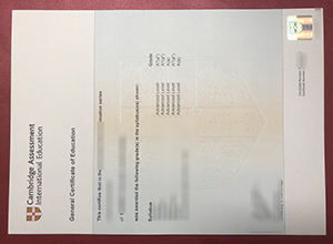Cambridge GCE certificate sample
