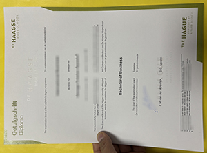 De Haagse Hogeschool Getuigschrift sample