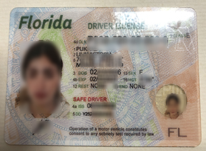Florida ID, Florida driver’s license sample