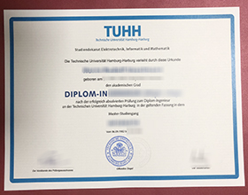 Hamburg University of Technology diploma sample