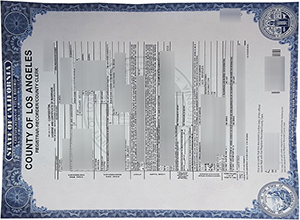 Los Angeles Marriage Certificate SAMPLE
