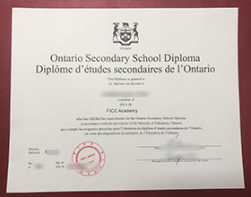 OSSD diploma