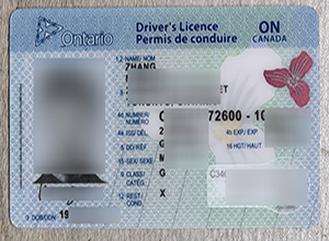 Ontario driver's license