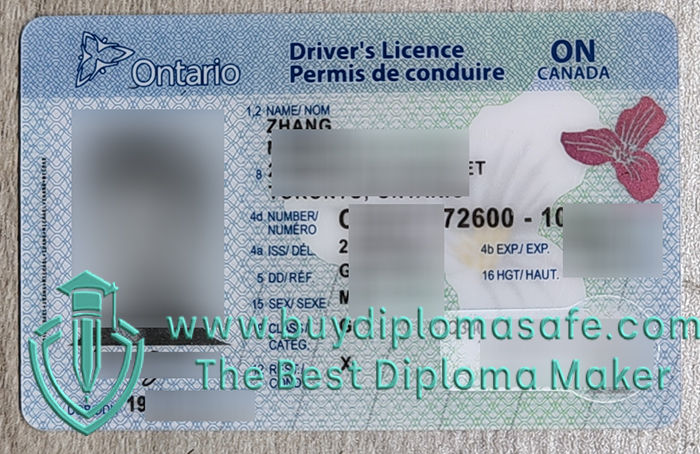 Ontario driver's license Ontario driver's license