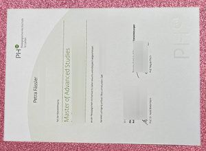 Pädagogische Hochschule St. Gallen diploma