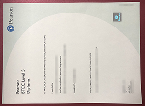 Pearson BTEC Level 5 diploma sample