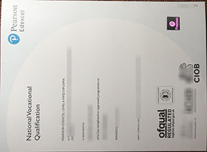 Pearson BTEC Level 6 NVQ diploma