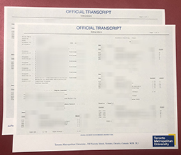 Toronto Metropolitan University transcript