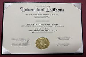 UCLA diploma