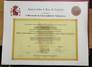 Universidad de Salamanca degree sample