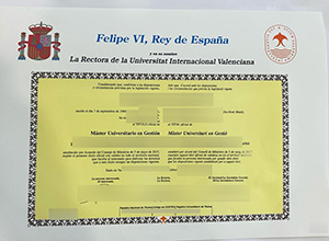 Valencian International University degree sample