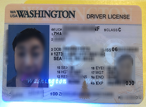 Washington driver's license sample, Buy a Washington ID sample